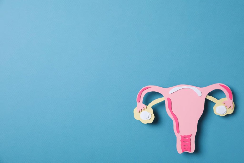 Tips Menjaga Kesehatan Reproduksi Remaja Saat&nbsp;Pubertas